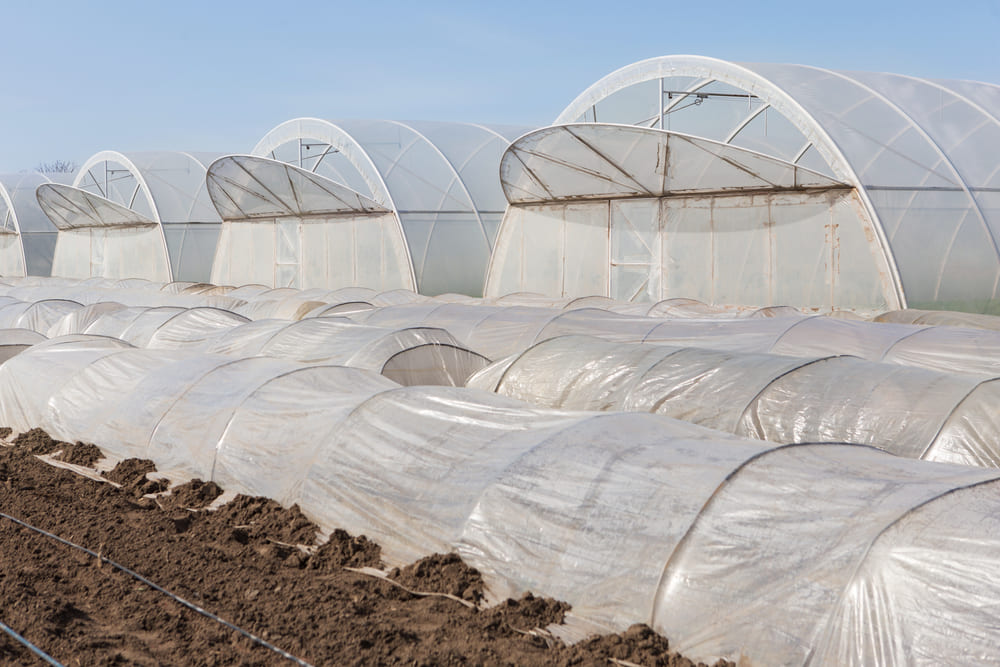 cubiertas plasticas para invernaderos